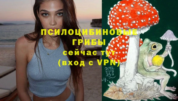 марки lsd Белоозёрский